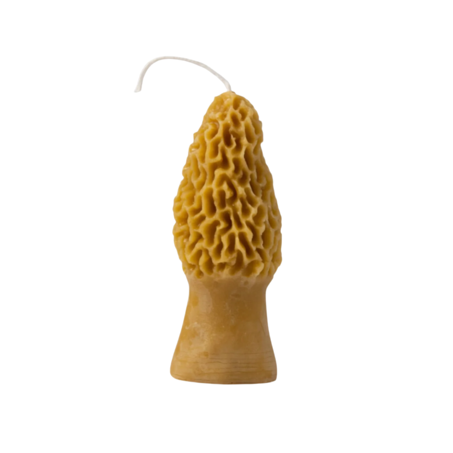 Morel Beeswax Candle